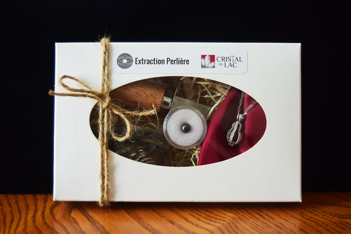 Promotion des Fêtes