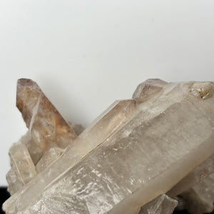 Quebec Quartz Crystal Cluster no.220