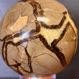 Minéraux Sphère Septarian