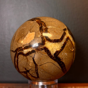 Minéraux Sphère Septarian