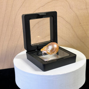 Baroque pearl oyster