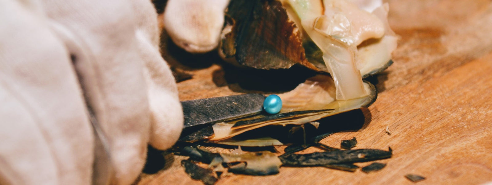 Pearl Extraction - Lake Crystal