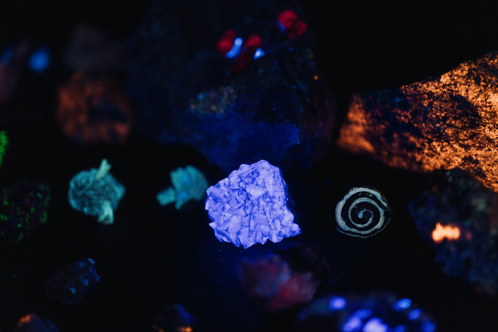 Activité famille Lac saint Jean