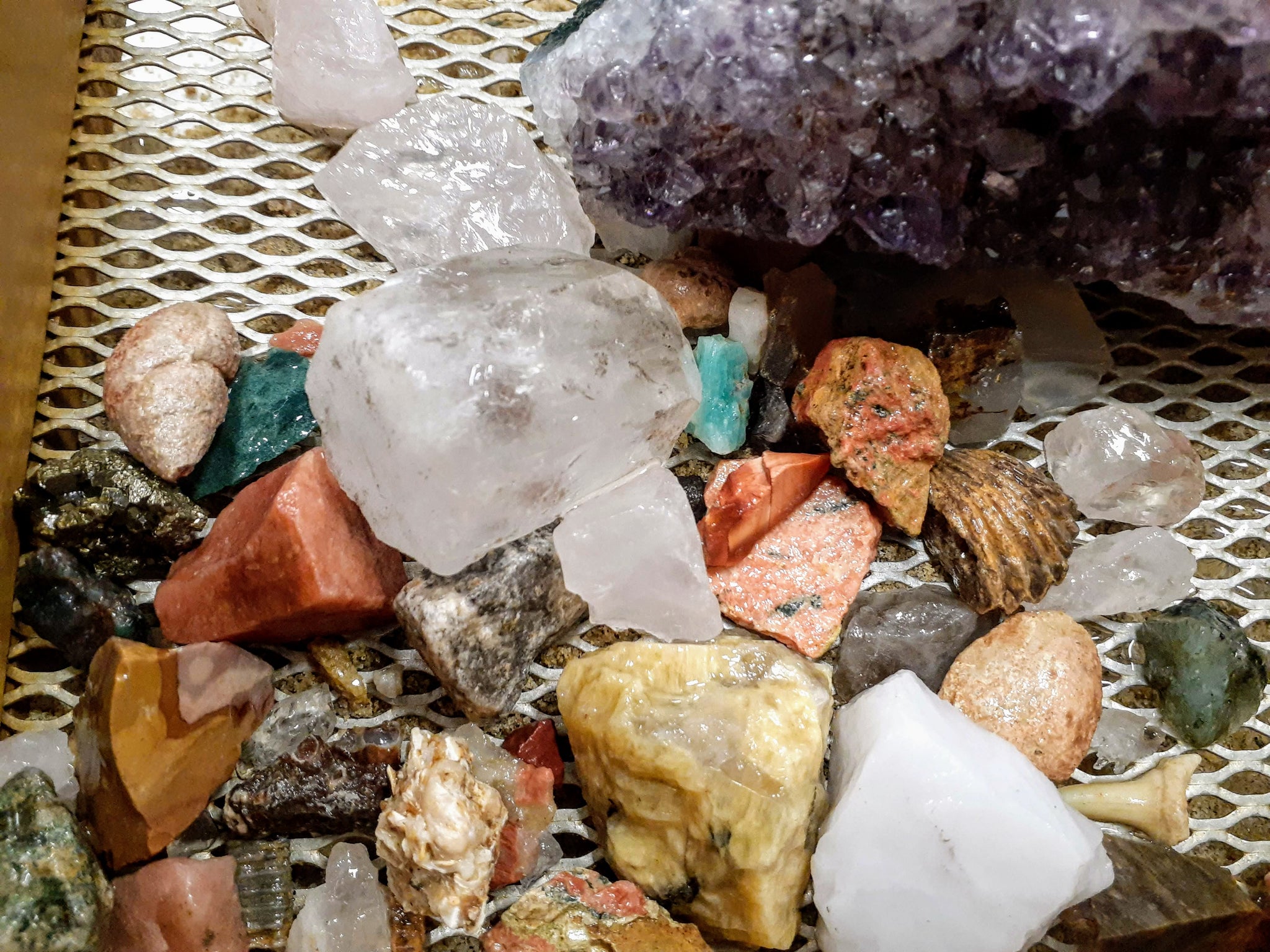iFCOW Lot de 20 cristaux minéraux naturels pour l'éducation de la