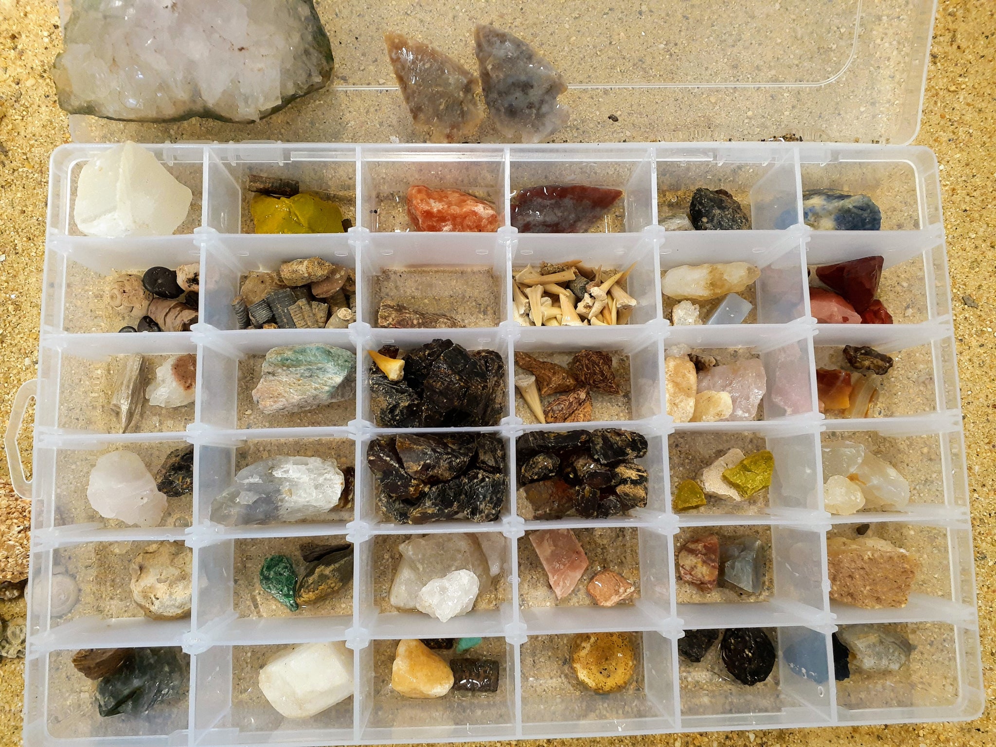 iFCOW Lot de 20 cristaux minéraux naturels pour l'éducation de la