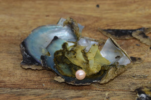 Pearl oyster: The Classic